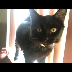 Meet your Posher, Erasmo